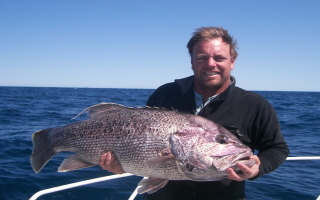 Dhufish from Jurien